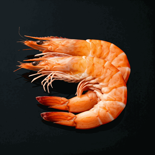 Giant tiger prawns on ice