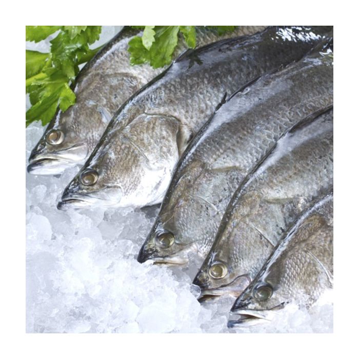 Premium seafood product presentation