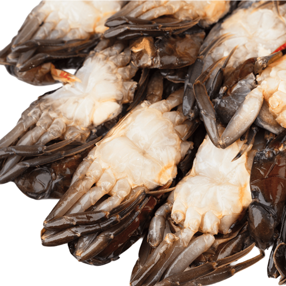 Premium quality soft-shell crab ready to cook.